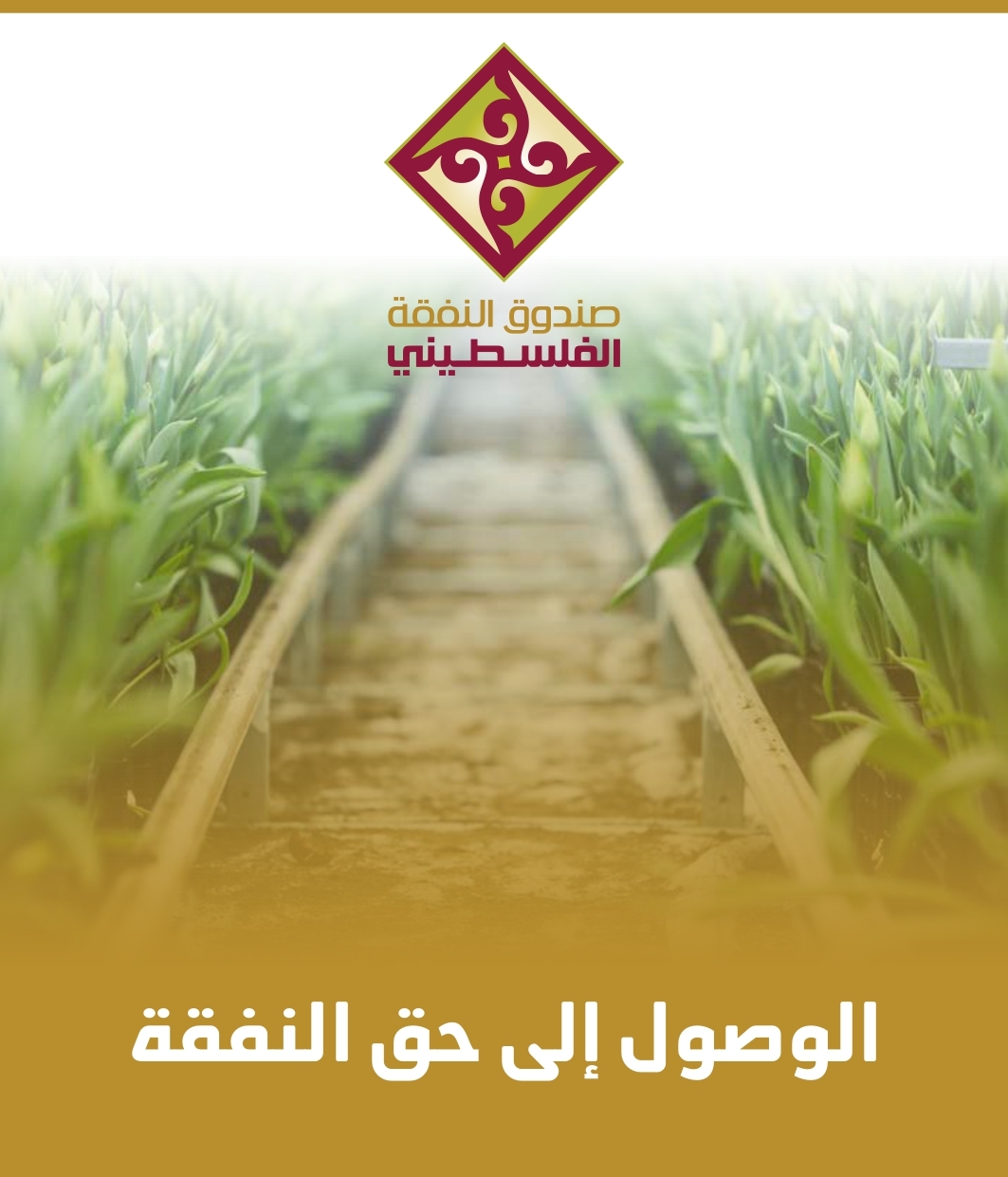 الــوصول إلى حــق النفقـة
