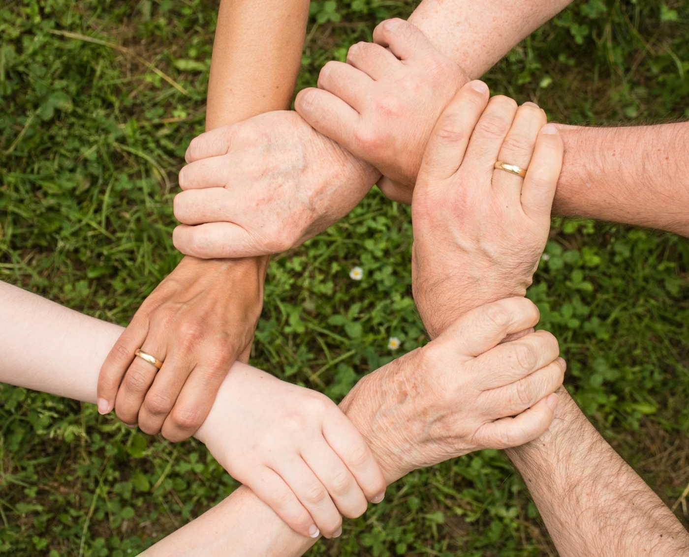 Protection and Social Inclusion Program