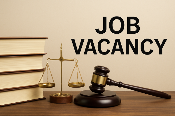 Follow-up and Collection Lawyer